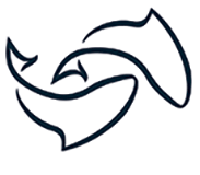 outline of two fish swimming in opposite directions