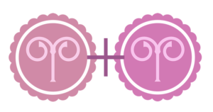 Sun in Aries with Aries Ascendant