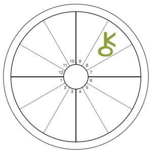 An oversized green Chiron symbol overlays the 8th house of an otherwise blank chart wheel