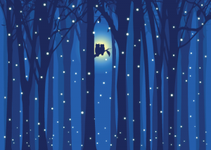A pair of owls sitting cozily on a tree branch against a starry night sky
