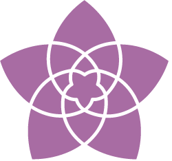 Venus Earth Sun transit flower